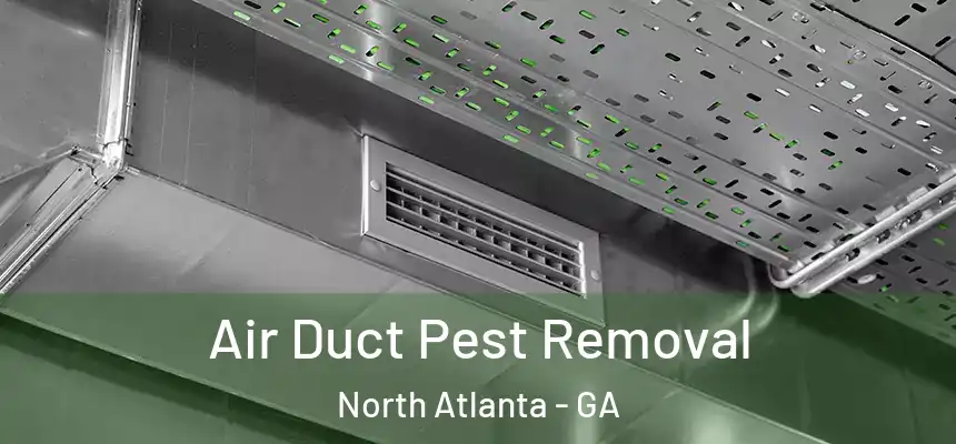 Air Duct Pest Removal North Atlanta - GA
