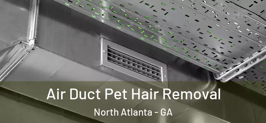 Air Duct Pet Hair Removal North Atlanta - GA