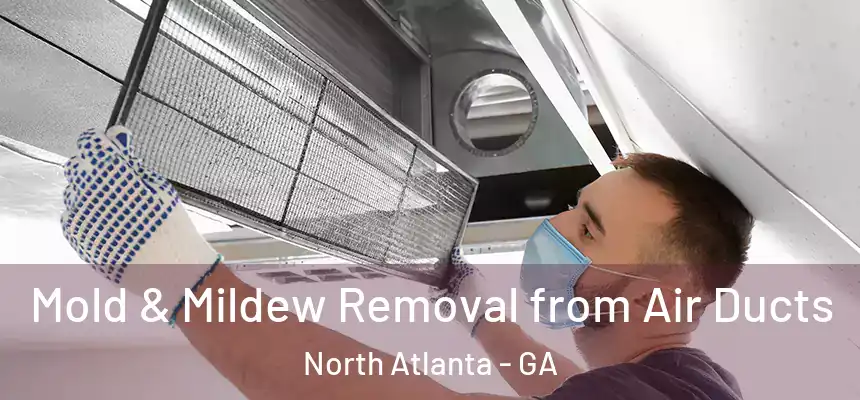 Mold & Mildew Removal from Air Ducts North Atlanta - GA