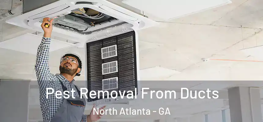 Pest Removal From Ducts North Atlanta - GA