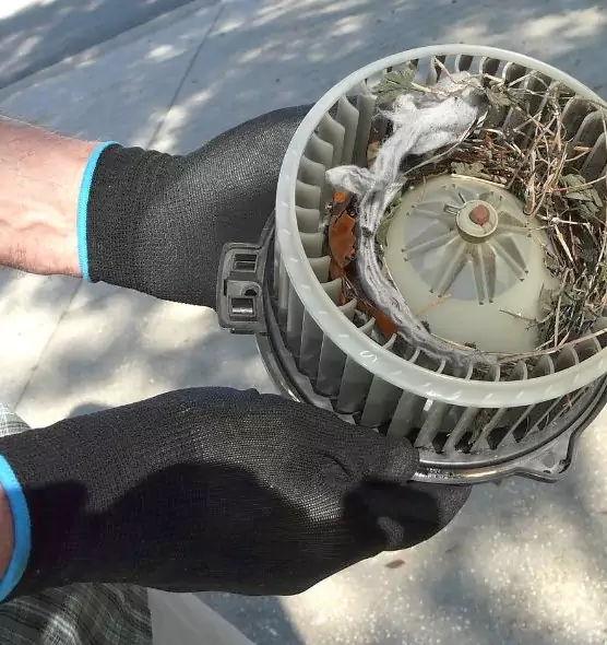 About Air Duct Mice Removal in North Atlanta, GA