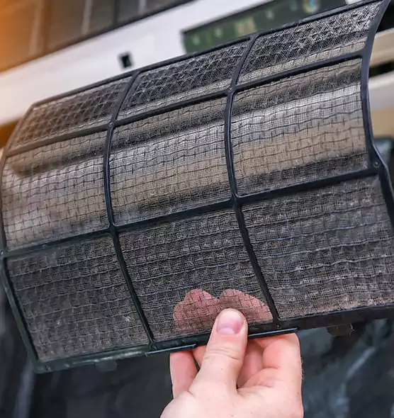 About Pet Dander Duct Cleaning in North Atlanta, GA